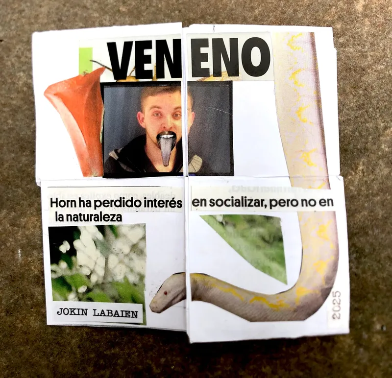Página 5