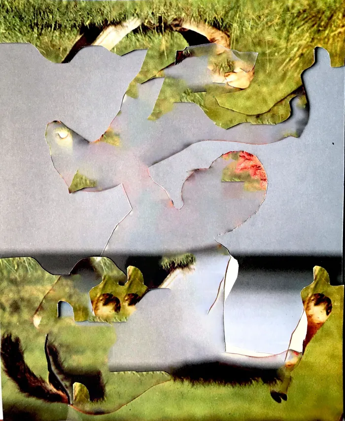 Collage